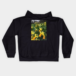 Spring has Sprung! Daffodils have arrived for Easter! Kids Hoodie